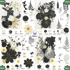 185 Pcs Dried Pressed Flowers for Resin Crafts, Real Natural Pressed Flowers - Image 2