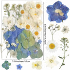 26pcs Dried Pressed Flowers for Resin Molds, YouthBro Real Natural Pressed - Image 3