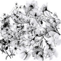 50Pcs Transparent Black and White Waterproof Plant Stickers by Unknown