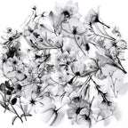 50Pcs Transparent Black and White Waterproof Plant Stickers by Unknown
