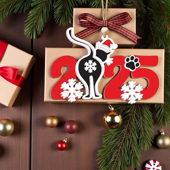 God Say You are Christian Christmas Ornament 2025, God Says I am 2D Flat - Image 6
