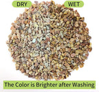 FANTIAN 10 LB Natural Pea Gravel Small Pebbles - Image 3