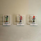 Picture Frame Wall Planters Set of 3, Modern Metal Hanging Shelves - Image 9