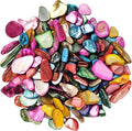 Natural Crushed Shells Chips Irregular Mother of Pearl Seashell Fragments Sea by EDSRDUS