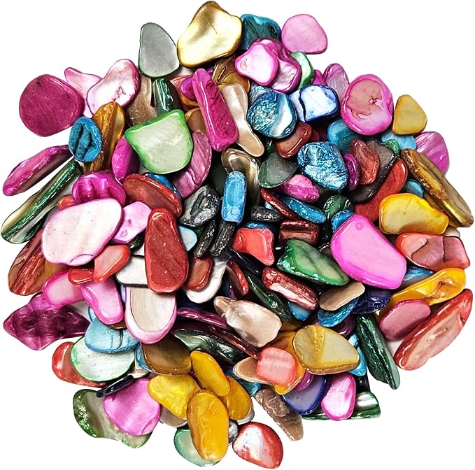Natural Crushed Shells Chips Irregular Mother of Pearl Seashell Fragments Sea by EDSRDUS