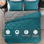 downluxe Queen Comforter Set - Image 5