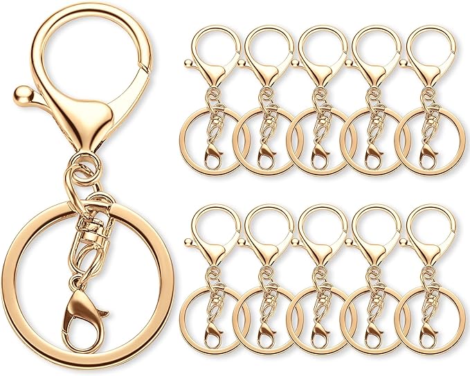 Gkeygo 10 Pack a Set Metal Lobster Claw Clasps and Key Rings, Key Chain by Gkeygo