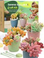 Microland Crafts for Teens Succulents Flower Making Kit, Teen Crafts Air Dry by AuroraLandLimited