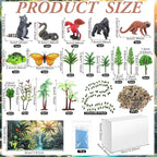 Teyva Daily 48 Pcs Rainforest Diorama Kit Habitat Project Box Set Rain Forest - Image 3
