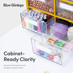 Blue Ginkgo Large 12-Drawer Cabinet – Stackable Clear Organizer - Image 5