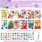 300 Pcs Pressed Dried Flowers - Image 4