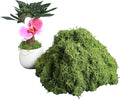 5.3oz Green Fake Moss Artificial Floral Moss Faux Plant by Forlaoers