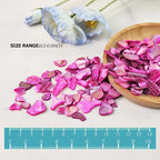 Natural Crushed Shells Chips Irregular Mother of Pearl Seashell Fragments Sea - Image 2