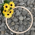 NUPICK 6lb Mexican Beach Pebbles, Smooth Garden Rocks by CreateAmazingChoice