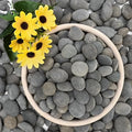 NUPICK 3lb Mexican Beach Pebbles, Smooth Garden Rocks by CreateAmazingChoice