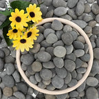 NUPICK 12lb Mexican Beach Pebbles, Smooth Garden Rocks by CreateAmazingChoice