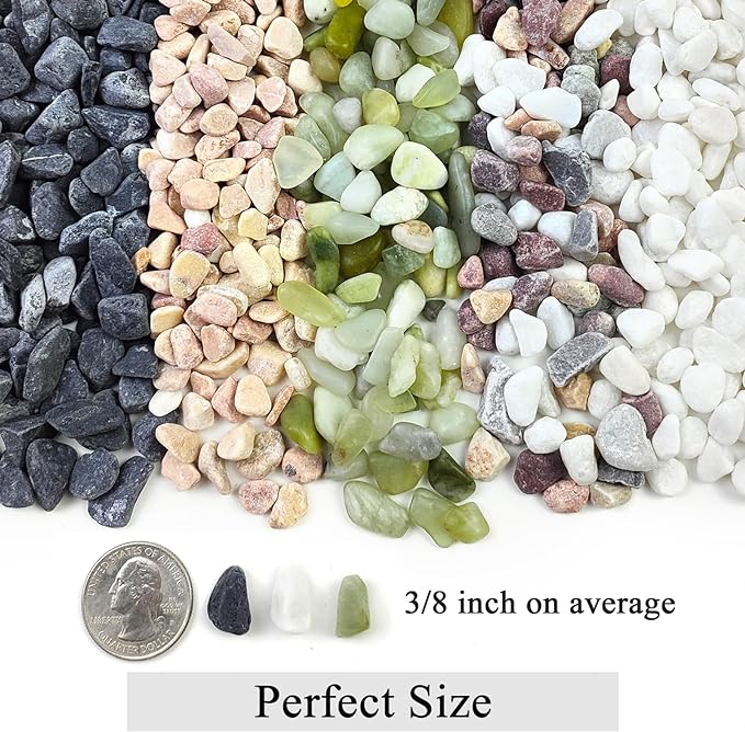 FANTIAN 5lbs Black Pea Gravel, 3/8 Inch Decorative Pebbles Succulent Rocks - Image 2