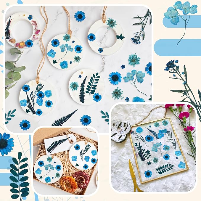 Fabbay 200 Pcs Dried Pressed Flowers Real Dry Natural Flower Leaf Dried Flowers - Image 6