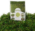 USMOLA 8OZ Fake Green Moss for Crafts, Terrariums, Fairy Gardens & Indoor Plants by USMOLA