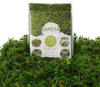USMOLA 8OZ Fake Green Moss for Crafts, Terrariums, Fairy Gardens & Indoor Plants by USMOLA