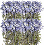 Wavwavw 200 Pcs Pressed Dried Lavender Flowers Stems Natural Preserved Real by Wavwavw