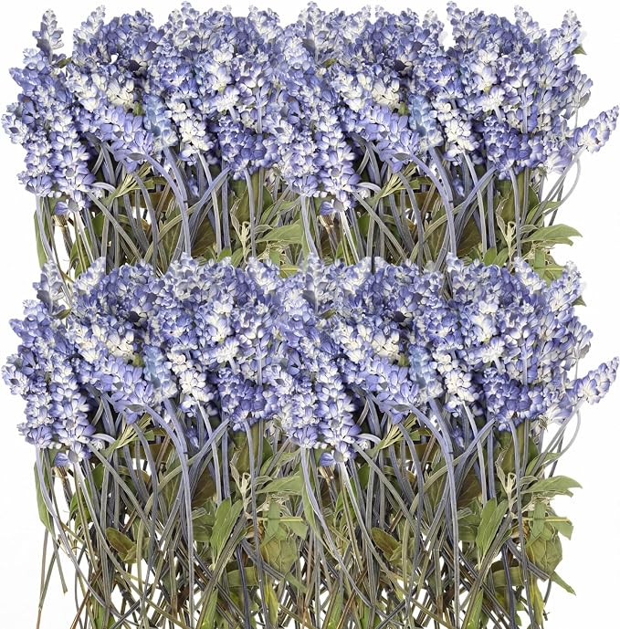 Wavwavw 200 Pcs Pressed Dried Lavender Flowers Stems Natural Preserved Real by Wavwavw