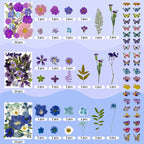 303Pcs Dried Pressed Flowers for Crafts, Dried Pressed Flowers for Resin - Image 3