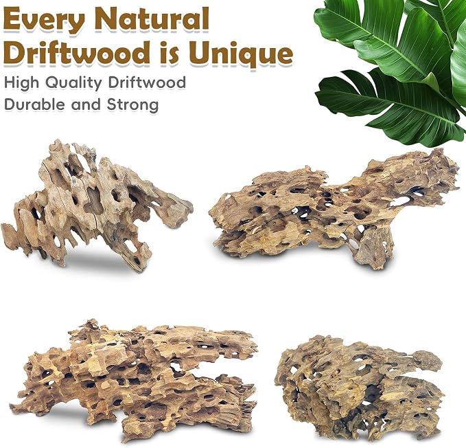 PINVNBY Natural Driftwood for Aquarium Large Reptile Terrarium Decor - Image 7