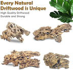 PINVNBY Natural Driftwood for Aquarium Large Reptile Terrarium Decor - Image 7