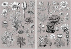 2 Sheets Vintage Floral Rub On Transfer Stickers, by Unknown