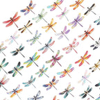 50Pcs Transparent Dragonfly Stickers by Unknown