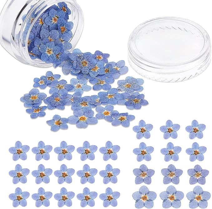 Nuanchu Natural Forget-me-not Dried Flowers Don't Forget Me Dried Real Pressed by Nuanchu