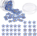 Nuanchu Natural Forget-me-not Dried Flowers Don't Forget Me Dried Real Pressed by Nuanchu