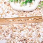 400pcs Natural Chip Shell Beads - Image 2