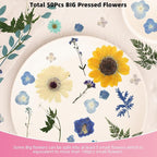 12“ Large Bulk Summer Dried Pressed Flowers - Image 4