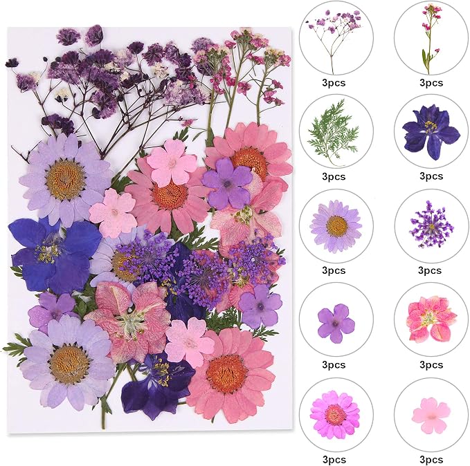 Augshy Dried Pressed Flowers for Resin, Natural Purple Dried Pressed Flowers by Augshy