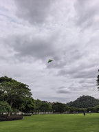 B2 Model Airplane Kite, Large Easy to Fly Kites Adults, 300FT String Reel - Image 8