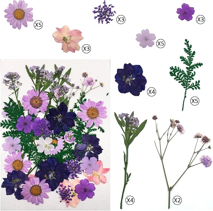 90 Pcs Real Dried Pressed Flowers and Leaves Natural Dried Petals - Image 3