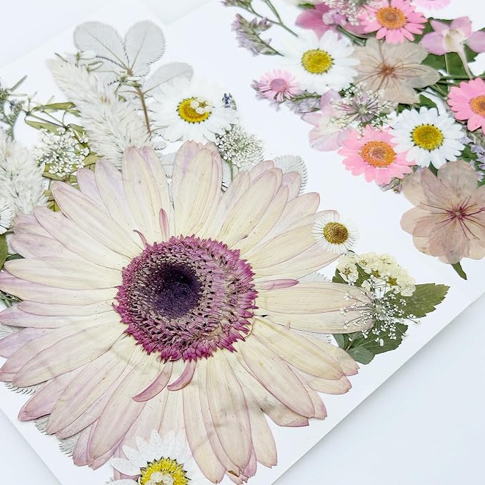 Woohome 44 PCS Pressed Flowers Natural Dried Flowers Pink Resin Flowers Real - Image 3