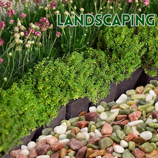 5 lb Pebbles for Indoor Plants, 1/2 Inch Decorative Rocks for Potted Plants - Image 5