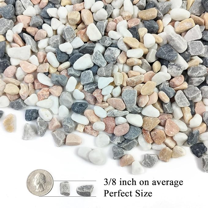 FANTIAN 2 lbs Succulent and Cactus Pebbles Gravel, 3/8 Inch Mixed Color - Image 2