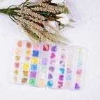 60Pcs Blue Small Dried Pressed Flowers - Image 6