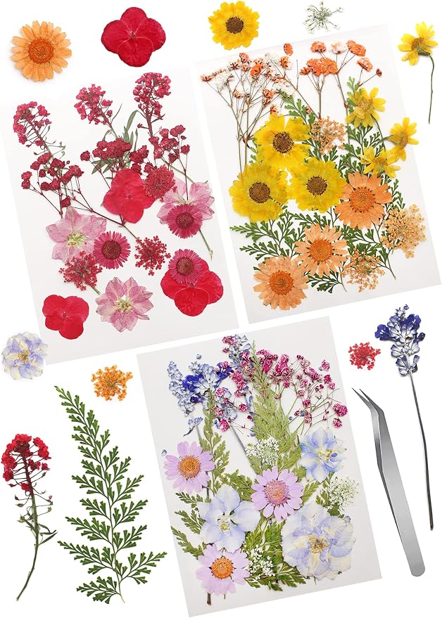 54 Pcs Real Dried Pressed Flowers and Leaves Natural Dried Petals Greenery by Cinvo