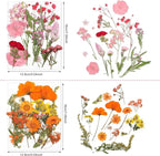 Nuanchu Dried Pressed Flowers for Crafts Resin Real Flat Natural Pressed Flowers - Image 3