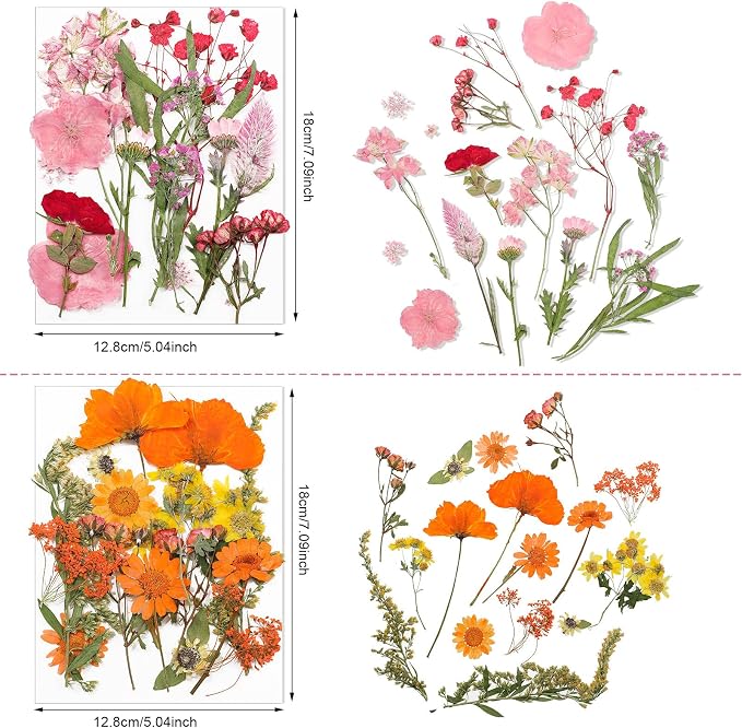 Nuanchu Dried Pressed Flowers for Crafts Resin Real Flat Natural Pressed Flowers - Image 3