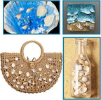 Seashells for Crafts Natural Mixed Seashells, 4 Pack Box, Small Shells for - Image 6