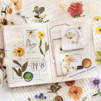 Yoksas Pressed Flower Wax Seal Stickers Set - Image 6