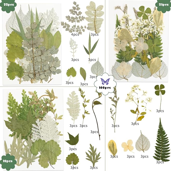 163 Pcs Dried Pressed Flowers for Resin Crafts, Real Natural Pressed Flowers - Image 2