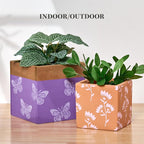 Martha Stewart, Spring Blooms - Image 6