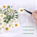 Augshy White Dried Pressed Flowers, Real Natural Dried Flowers Colorful Pressed - Image 3
